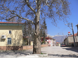 20 DENİZLİ SERİNHİSAR