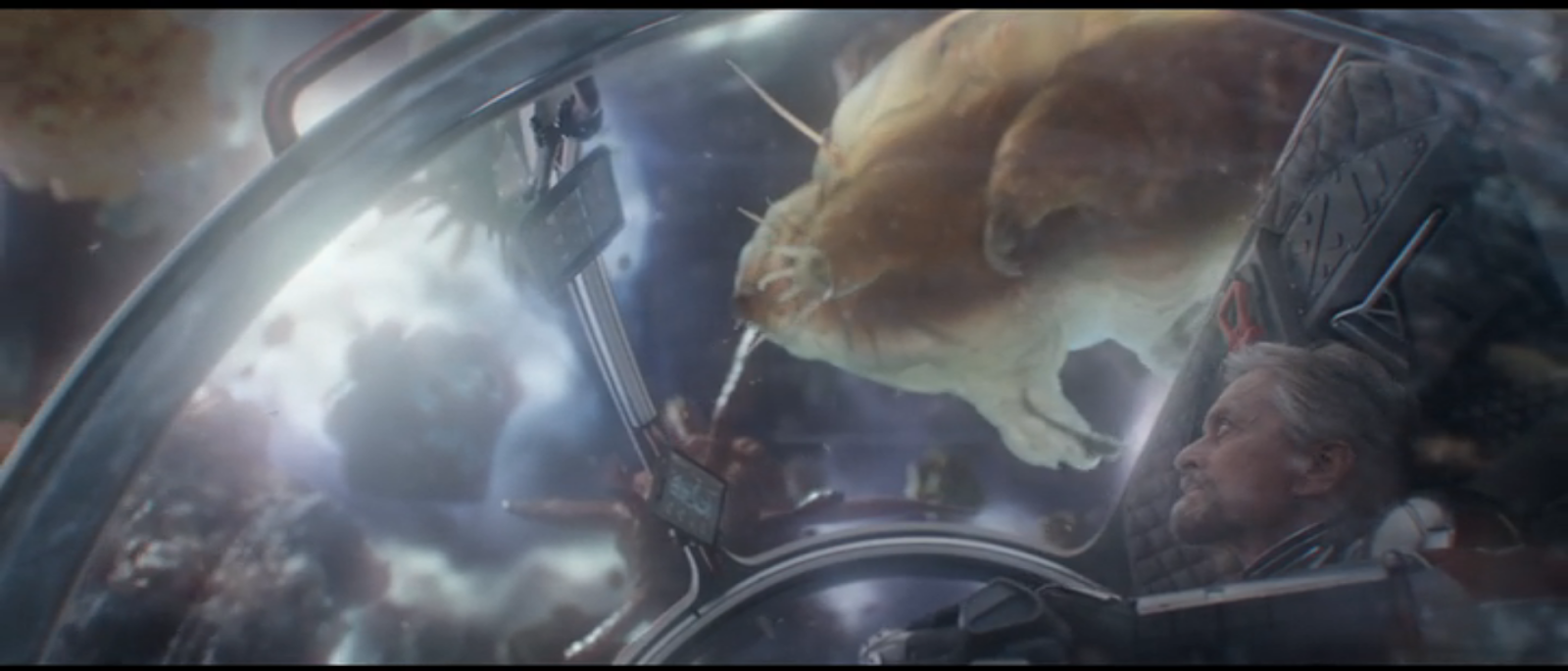 AntMan and the Wasp (2018) AoM Movies et al.