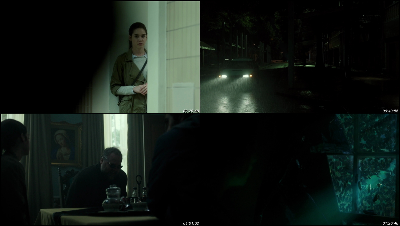 Rings 2017