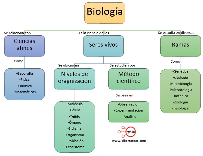 Mapa conceptual Biología 1º EM