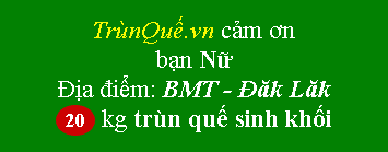 Trùn Quế BMT - Đăk Lăk