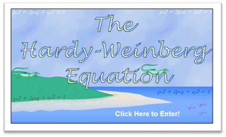Hardy Weinberg Equation