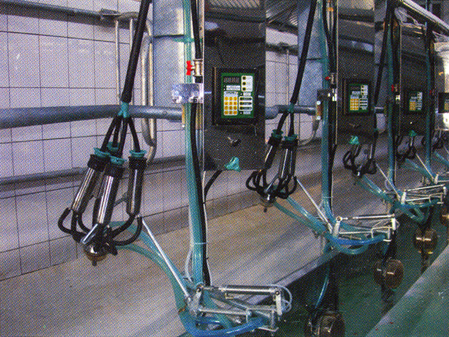 000. 00. 000. 00. 00.