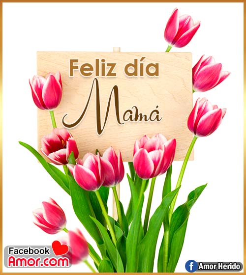 flores feliz día mamá flores feliz día mamá