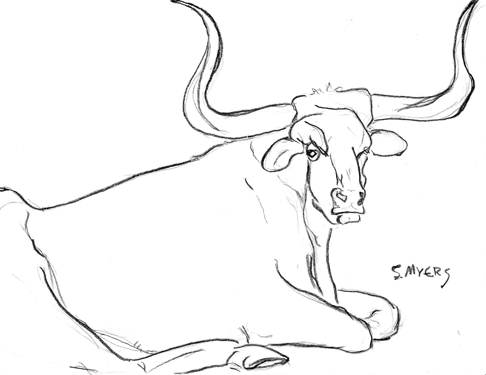 ox drawing
