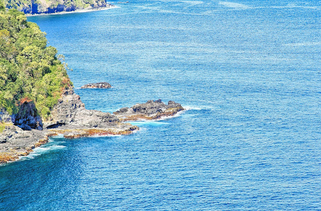 Road to Hana view