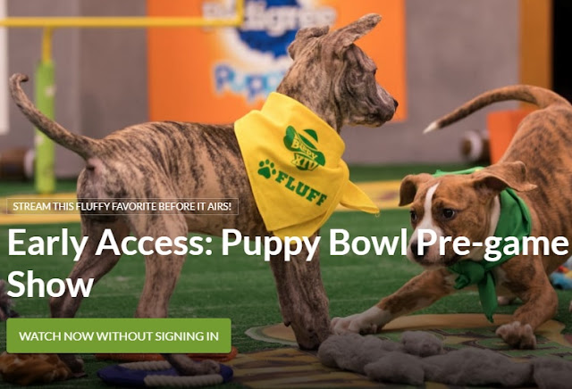 Puppy Bowl 2018