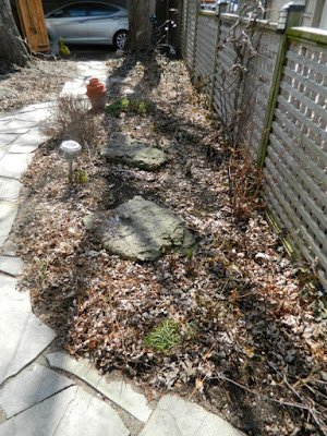 Leslieville Toronto Spring Back Yard Cleanup Before by Paul Jung Gardening Services--a Toronto Gardening Company Leslieville Toronto Spring Back Yard Cleanup Before by Paul Jung Gardening Services--a Toronto Gardening Company
