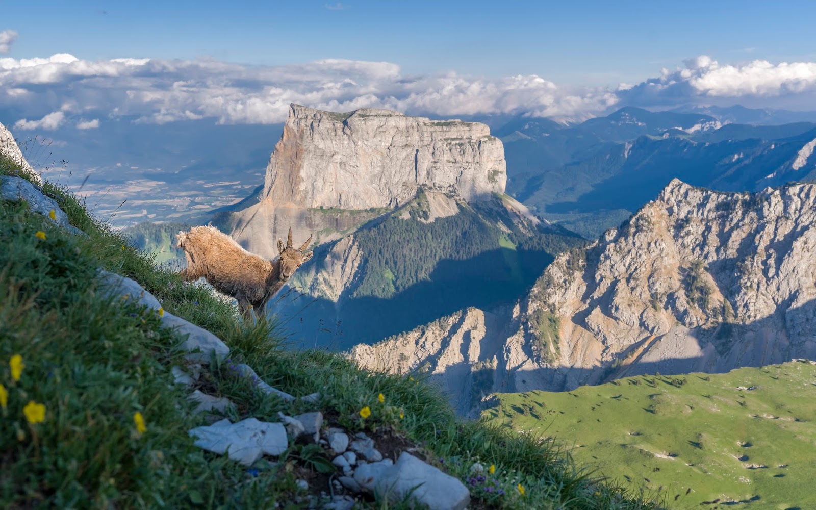 Vercors Grand Veymont Randonnée été Alpes France