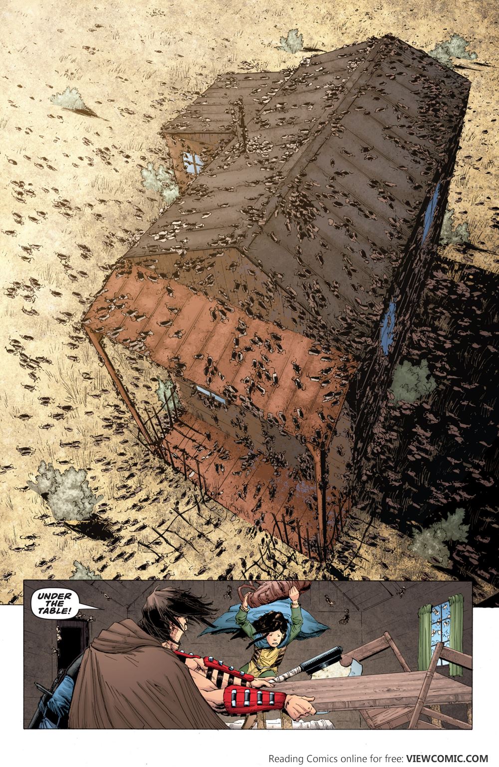 26