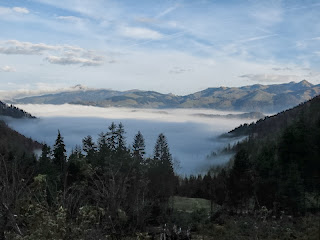 Dem Nebel entstiegen