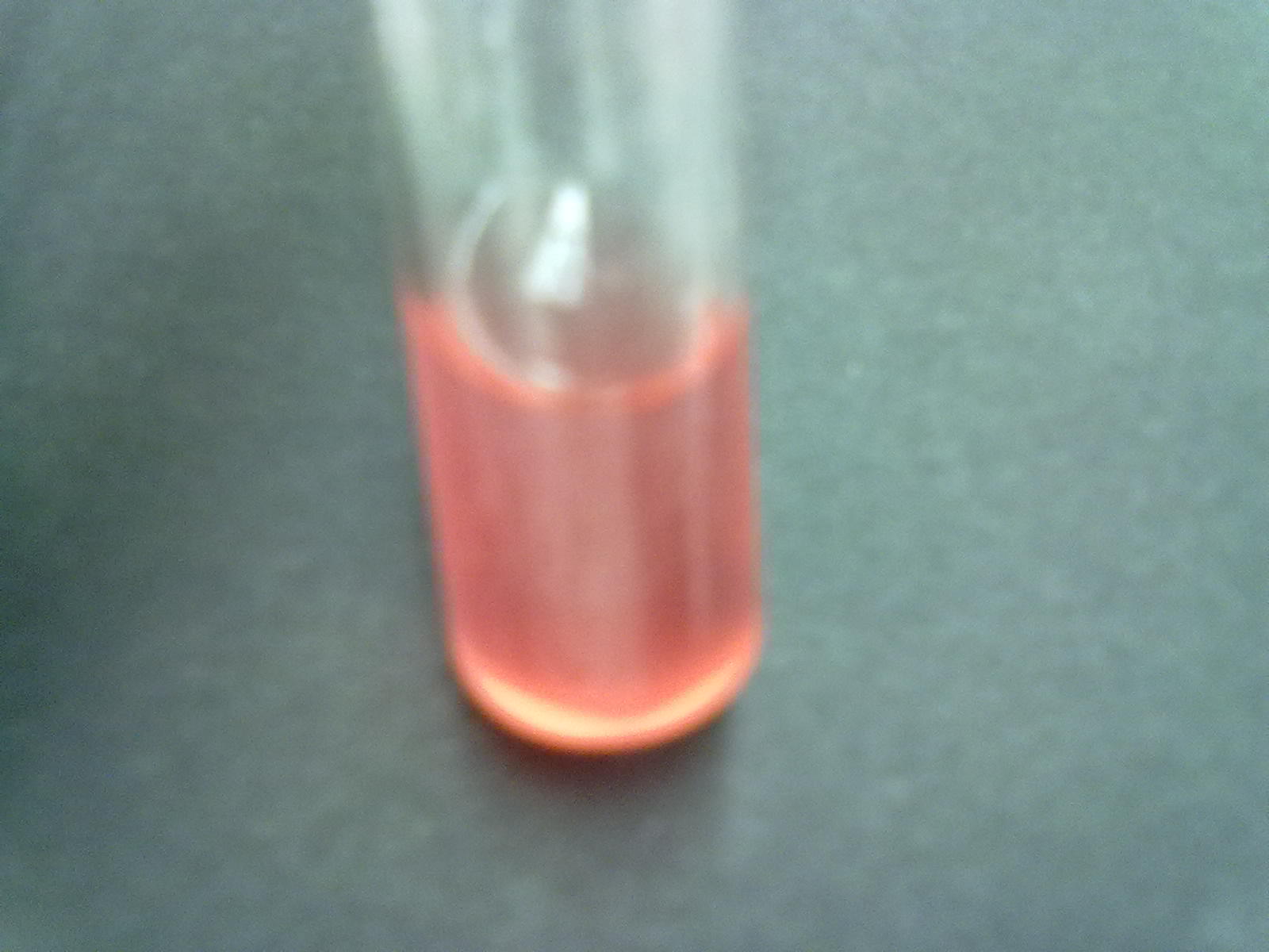 The Results! Gelatin and Fermentation Science and Technology Before