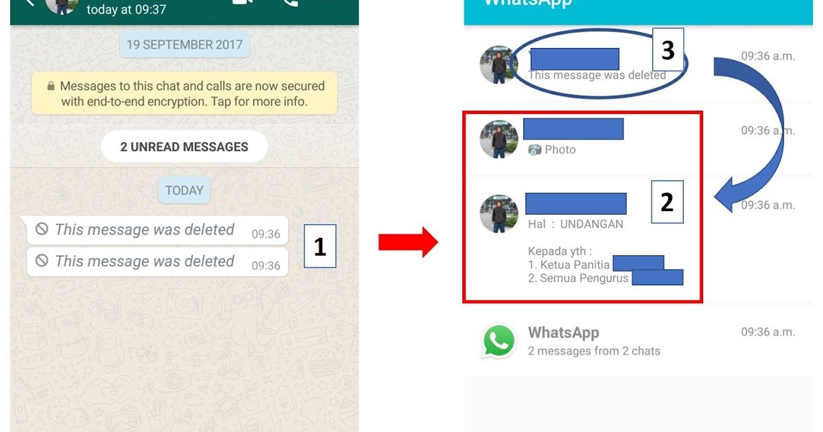 Melihat Status WhatsApp yang Sudah Dihapus (Lengkap dengan