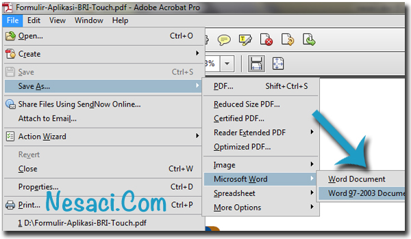 Cara Merubah PDF ke Word atau Excel