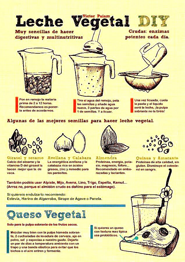 obturador La selva amazónica Dictado Cómo hacer leche vegetal y queso vegetal ~ De Recetas y Cocina : Tu Blog De  Gastronomía