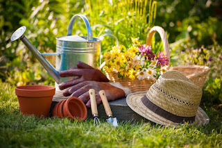 5 Quick Gardening Tips to Save You Money 5 Quick Gardening Tips to Save You Money