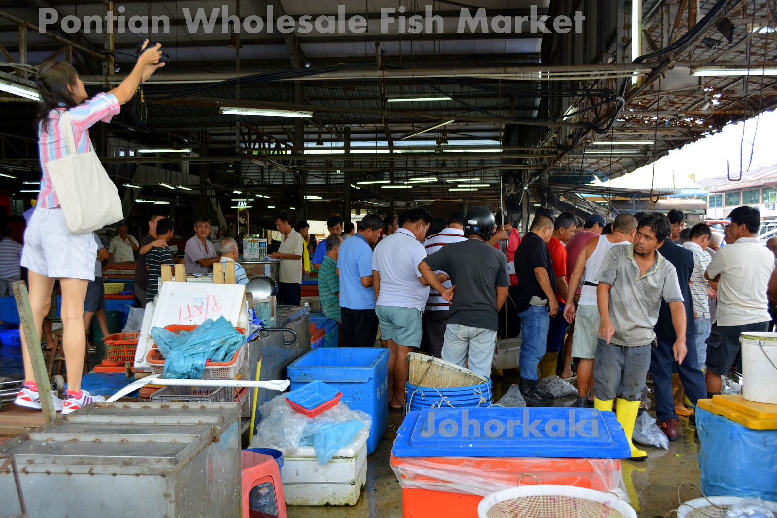 Pontian Wholesale Fish Market Update 2018 Tony Johor Kaki Travels for