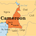 12 killed, 40 wounded in Cameroon suicide bomb attack