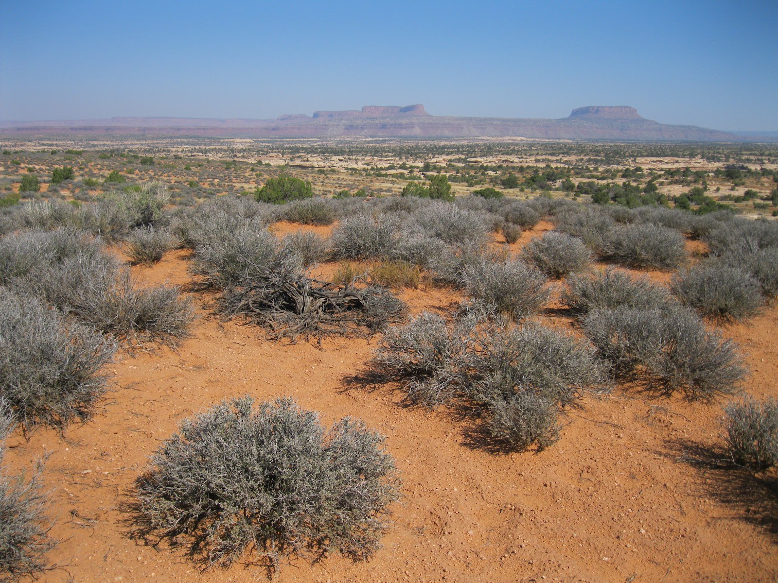 Four Corners HikesCedar Mesa in Utah Government Trail to Grand Gulch