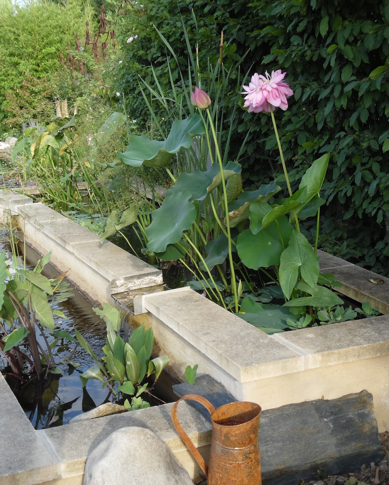 Le petit jardin de Chloé Les jardins d'eau de Carsac  Unique en Périgord