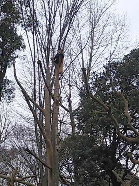 ロシエル旅行 chiba zoological park