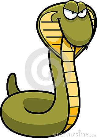 beautiful snakes - Google Search  Répteis, Belas cobras, Serpente