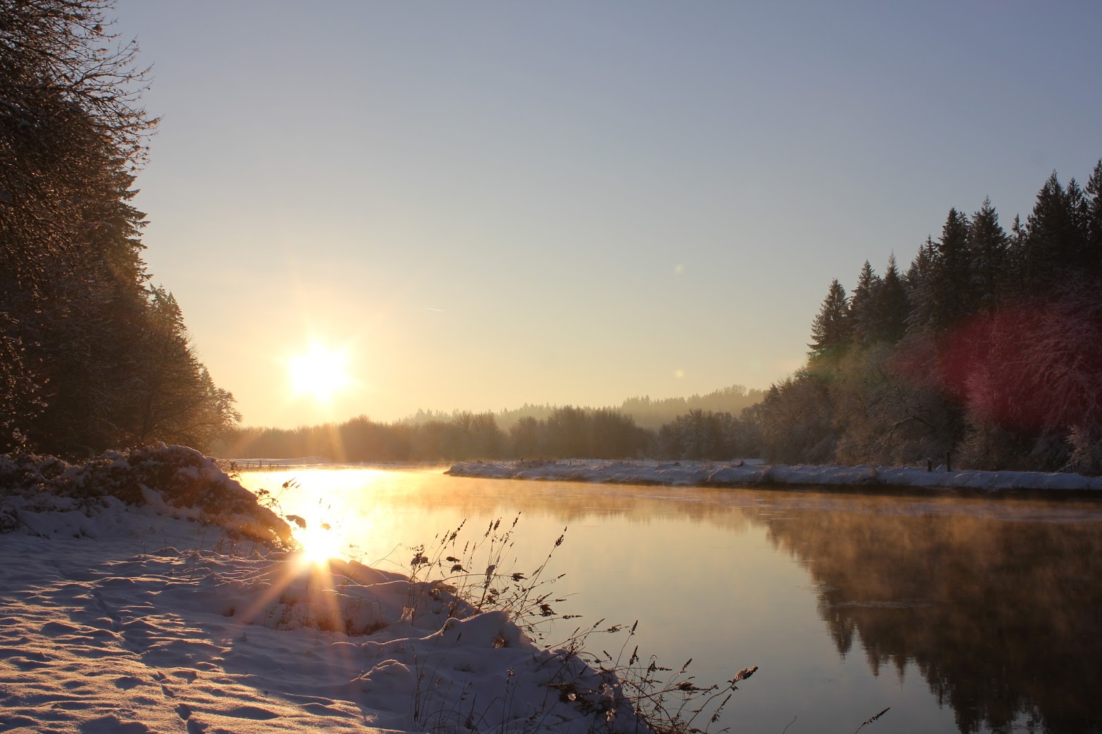 Lewis River, La Center, Washington In Photos