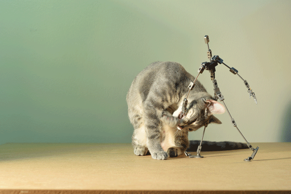 An Arm and a Leg: Building Stop Motion Armatures from a Kit | My ...