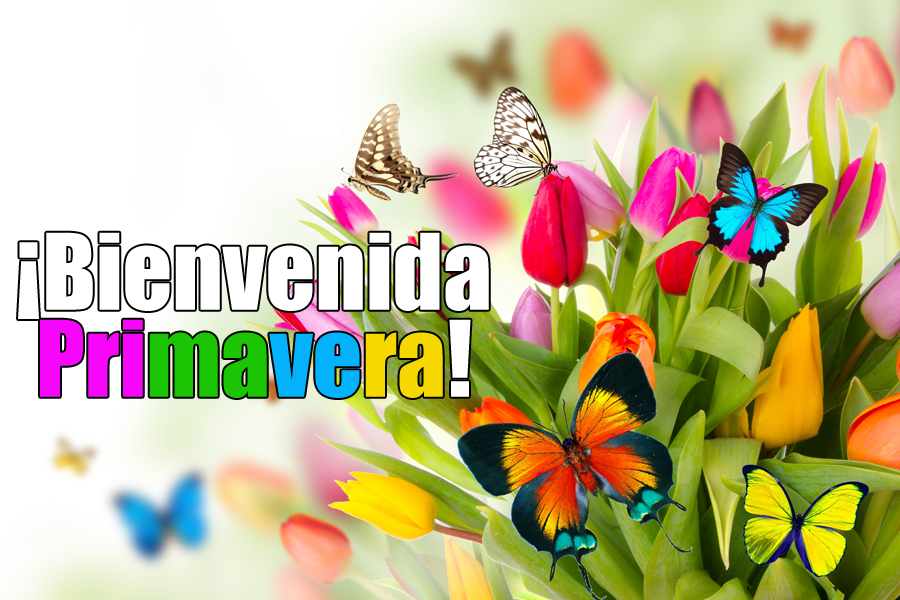 BANCO DE IMÁGENES ¡ Bienvenida Primavera ! Postales con Flores y Mensajes