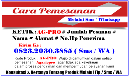 Penyebab Dan Pengobatan Sering Lemas, Sempoyongan Serta Hilang Keseimbangan Penyebab Dan Pengobatan Sering Lemas, Sempoyongan Serta Hilang Keseimbangan