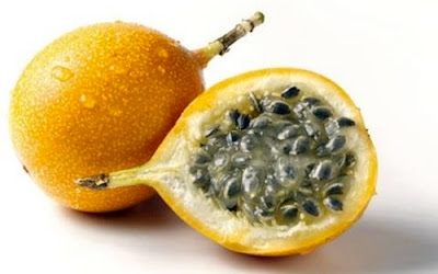 Manfaat Buah Erbis Manfaat Buah Erbis