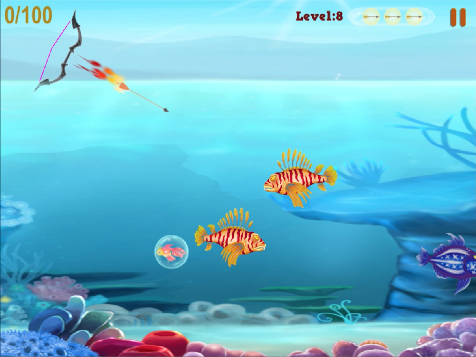 Shoot Fish Archery Support