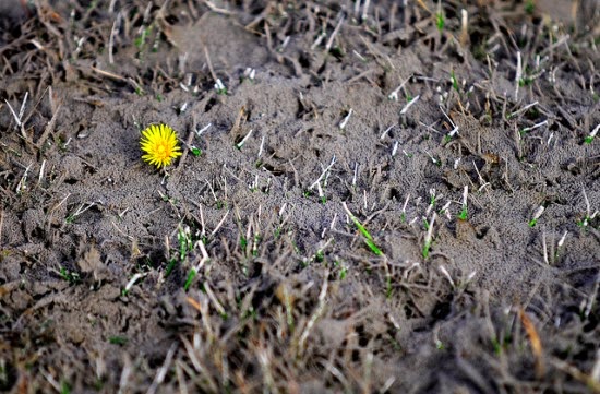 Eficiencia asequible: Ceniza de la chimenea I