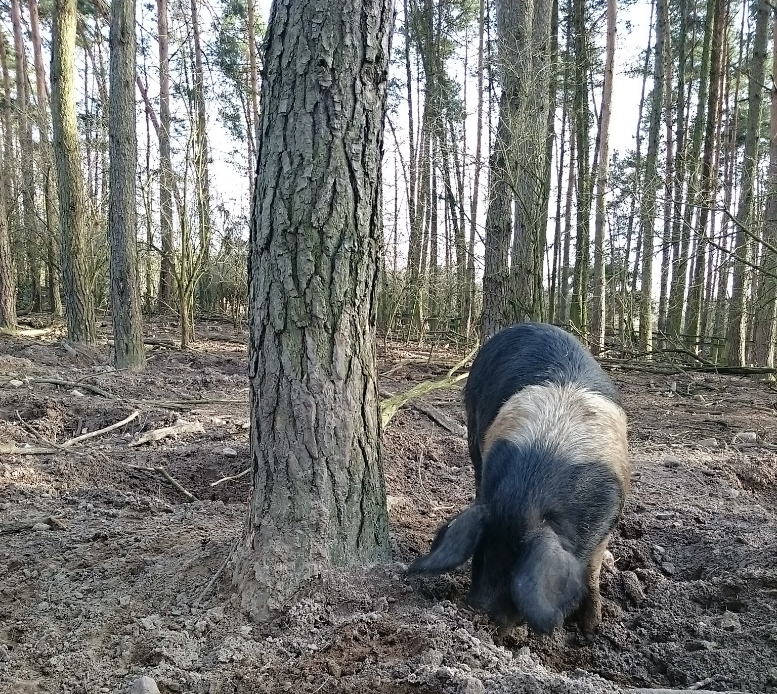 Schminktussis Welt Beauty Fashion Lifestyle aus der Nähe Berlins