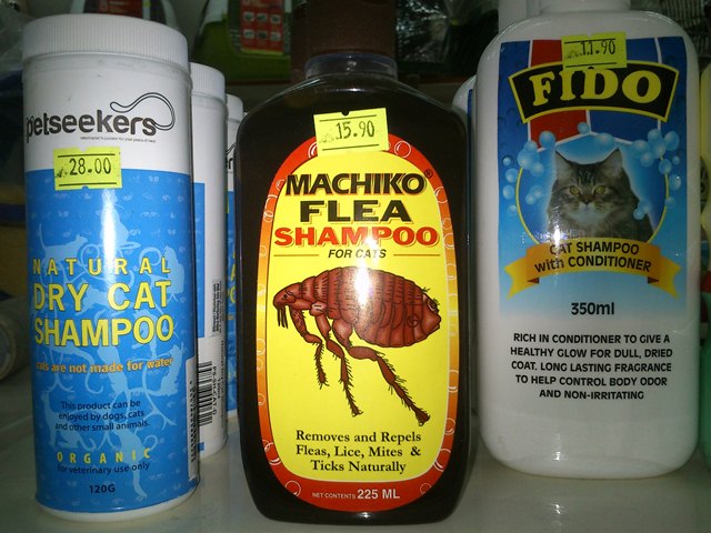 CATZ LOVER PETSHOPS: Dry Cat Shampoo dan Flea Shampoo 