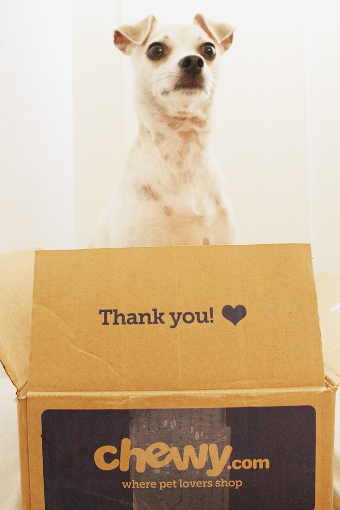 HAPPYHAZEL Happy Reviews Instinct Raw Freeze Dried Dog Food!