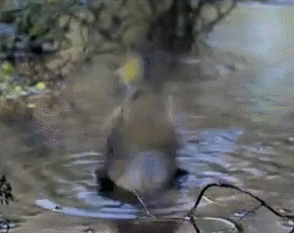 Una refrescante toma de Rob Curtis