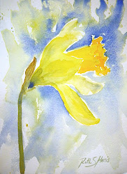 watercolour daffodil watercolor painting daffodils single paintings flowers rsharts format daff loose harris passion ruth
