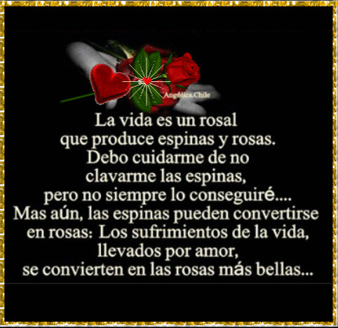 FRASES Y GIFS: La vida es un rosal