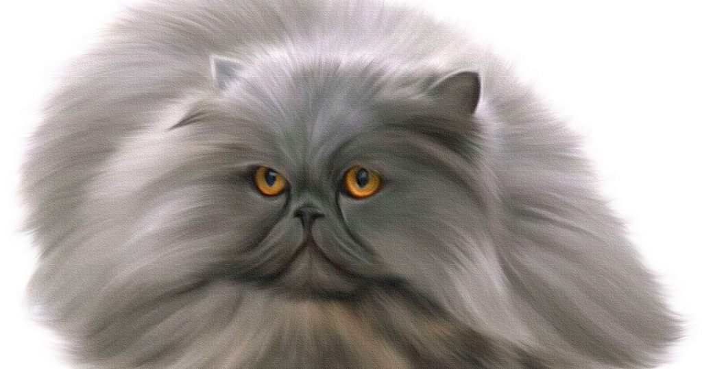 Акцент: Содержание блога