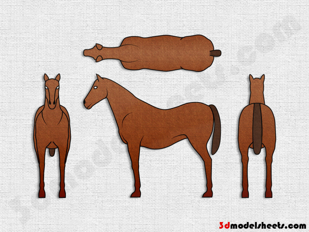 HIGH RESOLUTION TEXTURES Free Animal Blueprints Model Sheets