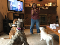 Suki Roth (right), her niece Smokie Roth (the Greyhound, center), and her nephew Auggie Roth (the Foxhound, left), about to get treats from my wife Shirley.