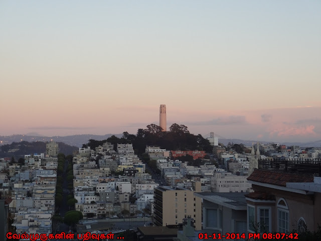 Coit Tower View from Lombard Street