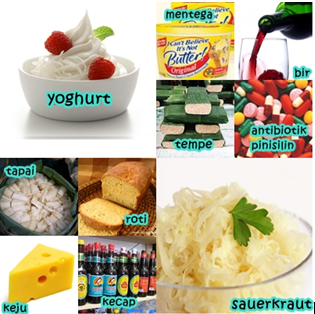 PERBEDAAN BIOTEKNOLOGI KONVENSIONAL DAN BIOTEKNOLOGI MODERN