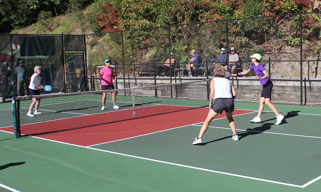 a pickleball life 2017 connestee falls scholarship pickleball connestee falls friday flyer