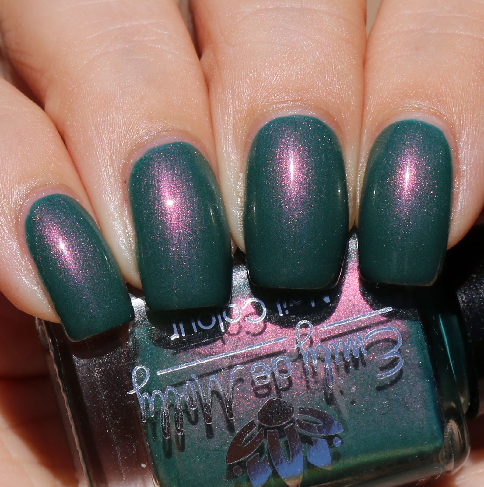 Emily de Molly LE61 swatched by Olivia Jade Nails
