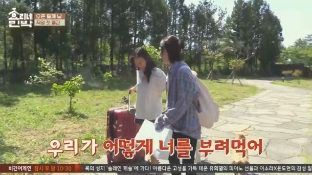 [효리네민박] 아이유의 등장에 사고회로에 문제가 온 남자들.jpg | 인스티즈