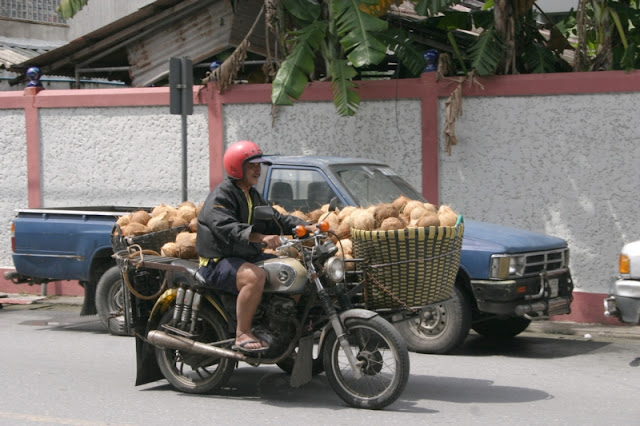 Coconut Deliveries