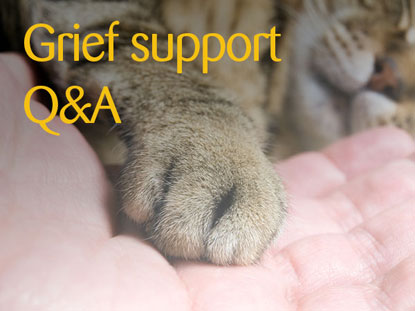Coping with pet-related grief FAQs Grief support