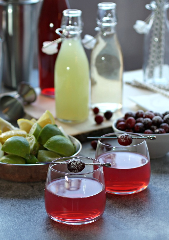 Hungry Couple Cranberry Collins and a DIY Cranberry Cocktail Party